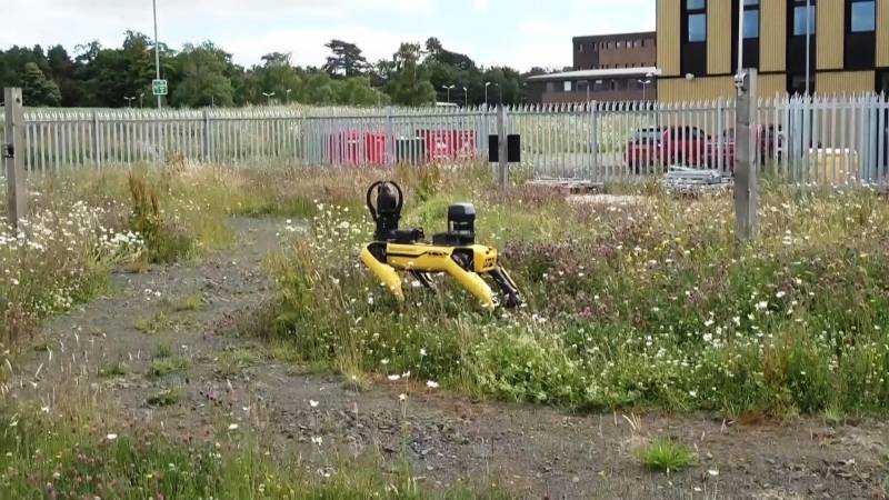 В Шотландии тестируют робота-собаку-фермера