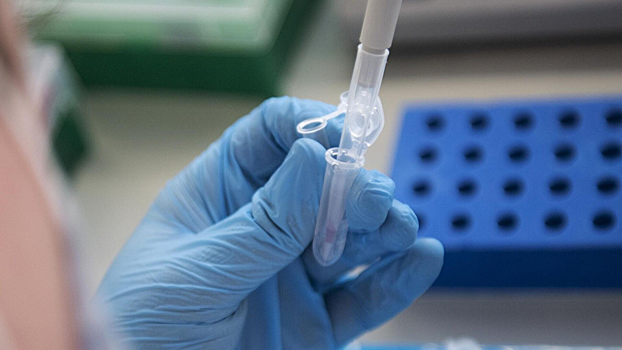 Ученые нашли особенную черту старения