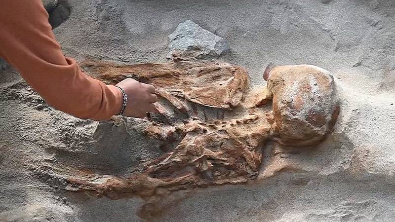 14 скелетов возрастом 3000 лет раскопали в Перу