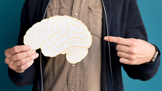 В мозге обнаружили «кнопку перезагрузки» воспоминаний