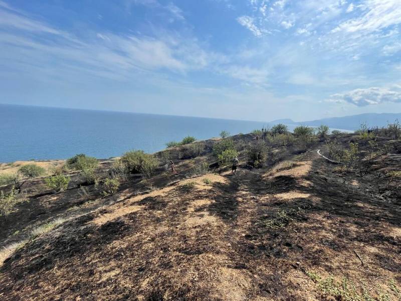 В Алуште потушили природный пожар В Алуште потушили природный пожар