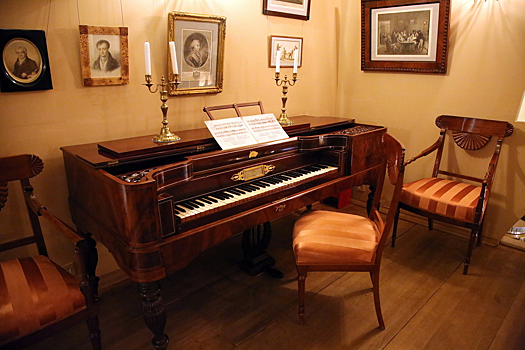 Ученые рассказали, какое хобби замедляет старение мозга