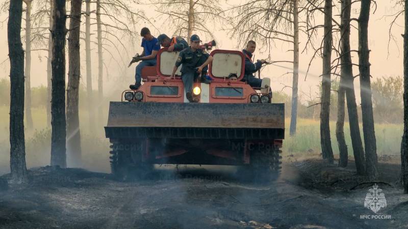 Международный день защиты леса от пожара