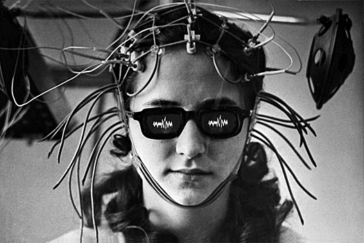 Почему мозг человека перестал расти и продолжает уменьшаться