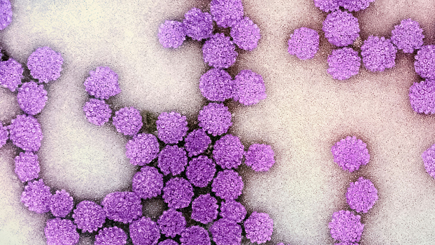 Найден неожиданный фактор, управляющий нашими эмоциями