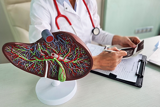 ИИ научили предсказывать исход лечения онкологии печени