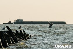 На юге России произошел разлив нефти: как скоро могут устранить и какого размера пятно