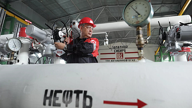 Еще одна страна осталась без поставок российской нефти