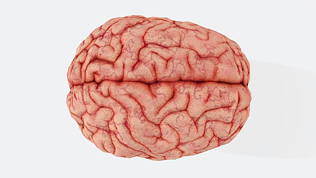 Найден способ замедлить развитие нейродегенеративных заболеваний