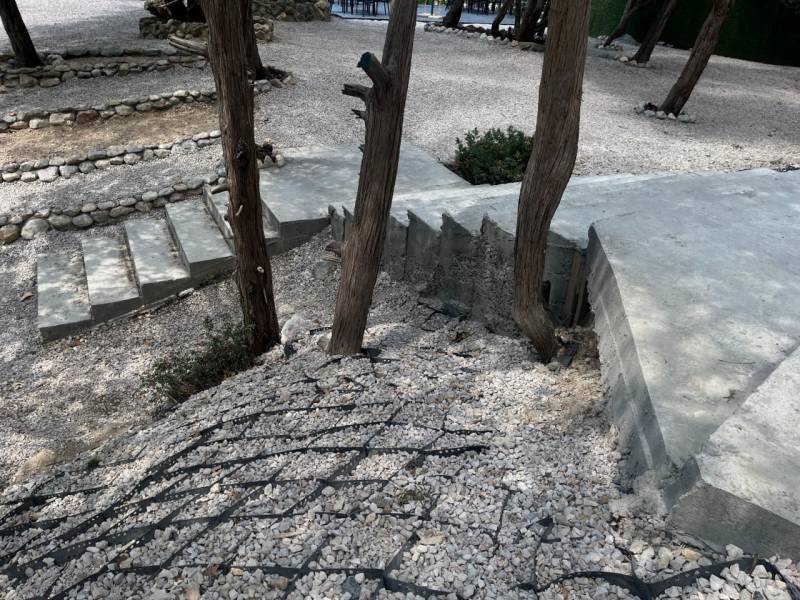 У заказника "Ласпи" в Севастополе срубили краснокнижные деревья и кустарники