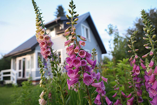 Названы популярные ошибки при покупке загородного дома