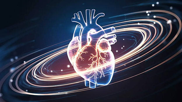 В России создали новый датчик для диагностики мозга и сердца