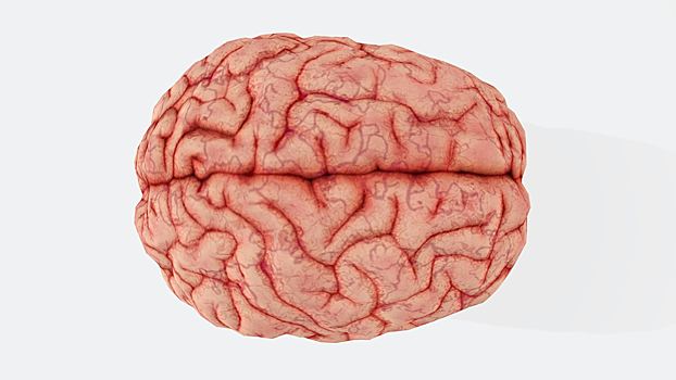 Стало известно, что повышает риск развития рака мозга