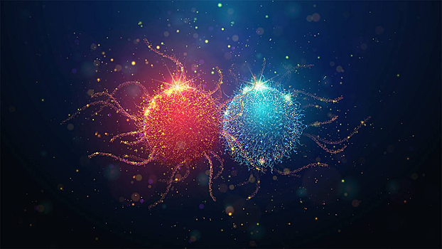 Ученые нашли уязвимое место самых агрессивных видов рака