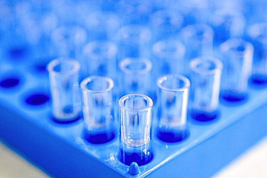 В Кремниевой долине создается «генетическая суперкаста»