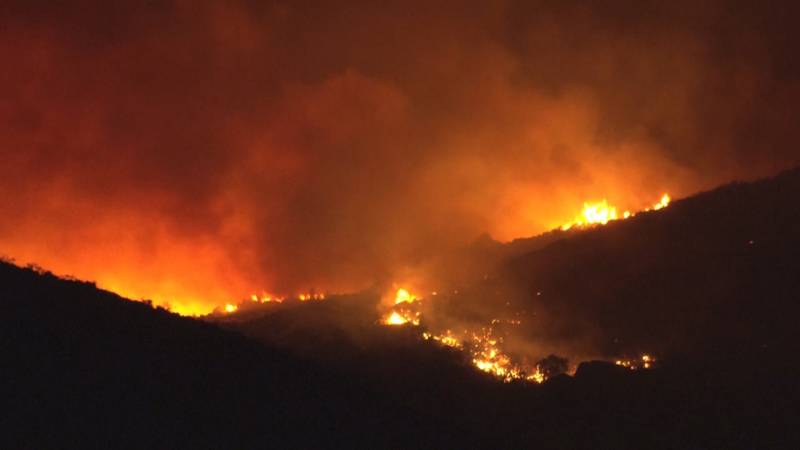 Экстремальная погода: Азия тонет, а Европа горит