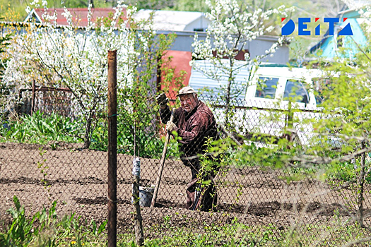 Трава у дома: у кого с сентября могут отобрать дачу