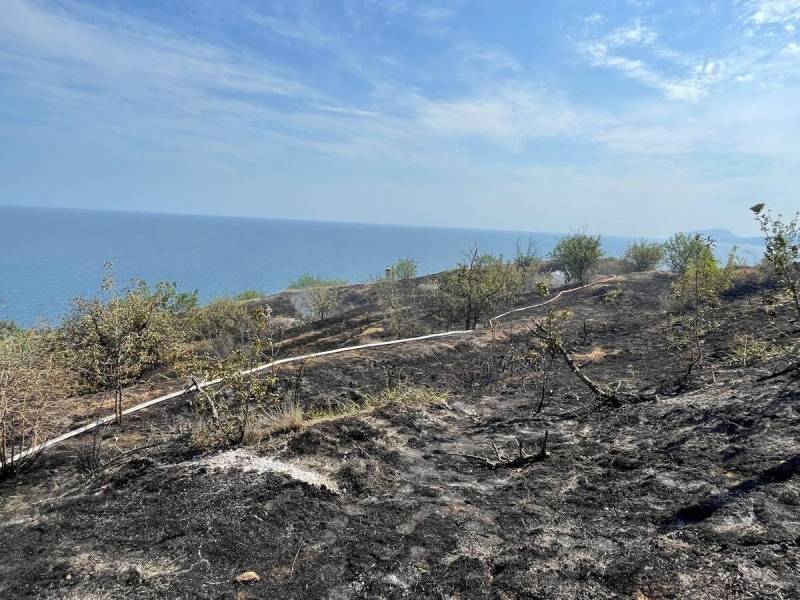 В Алуште потушили природный пожар В Алуште потушили природный пожар