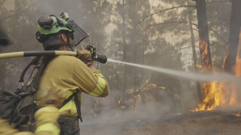 Испания задействовала исторический объём международной помощи в борьбе с пожарами