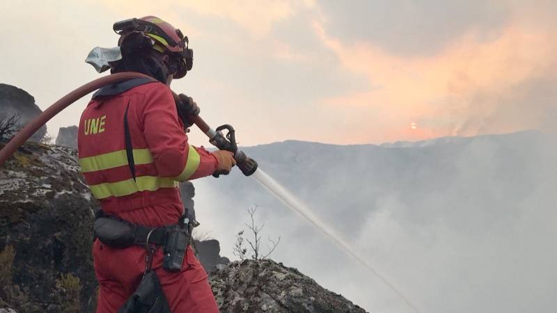 Лесные пожары: в Испании объявили зонами бедствия 16 регионов