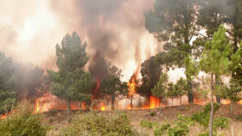 «Очень страшно»: лесные пожары бушуют в центральной части Португалии