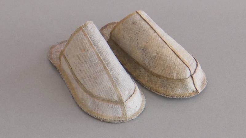 Тапочки из пыли: новый тренд в моде и экологии?