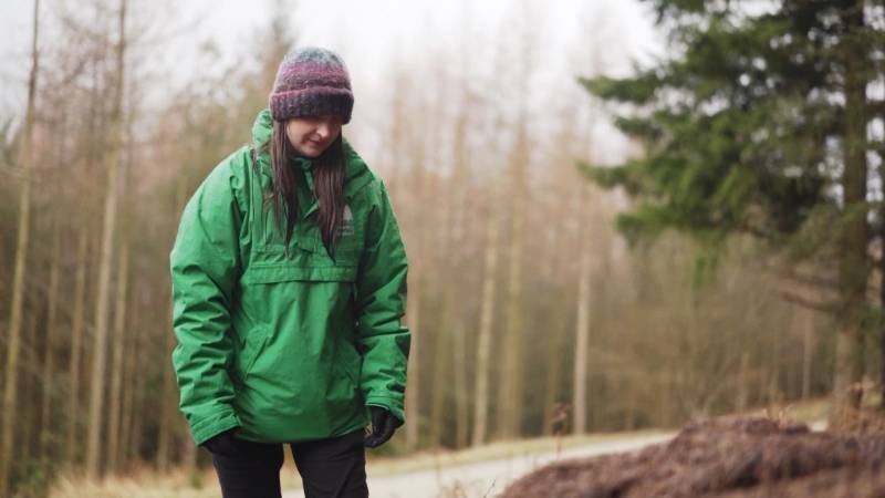 В Англии волосистых лесных муравьев переселяют на новые мест