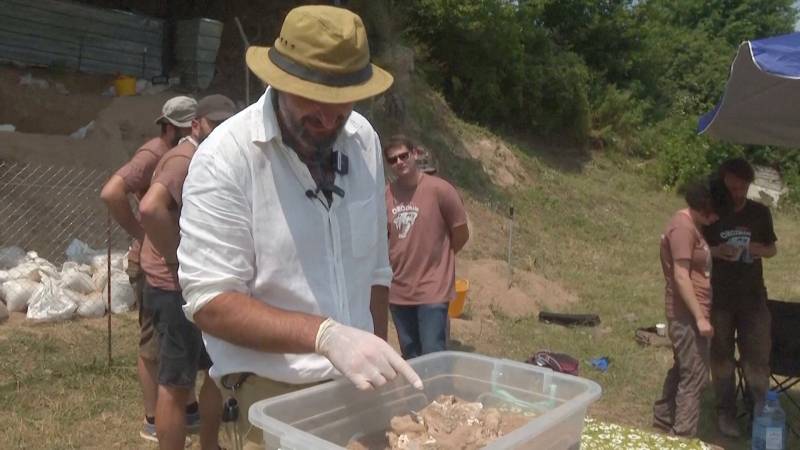 В Грузии обнаружили человеческую челюсть возрастом 1,8 млн лет