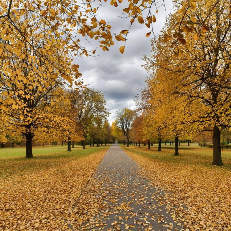 Прогноз погоды в Крыму на 28 сентября