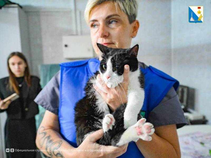 Заботимся о братьях наших меньших