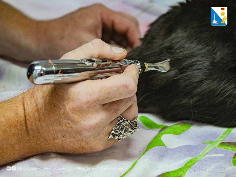 Заботимся о братьях наших меньших