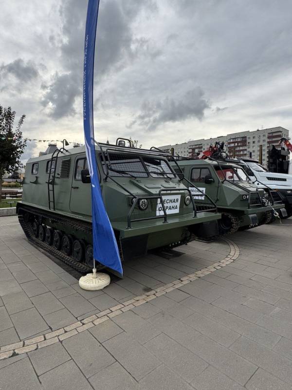 Директор Департамента Юлия Гаврилова принимает участие во Всероссийском форуме «Леса России»