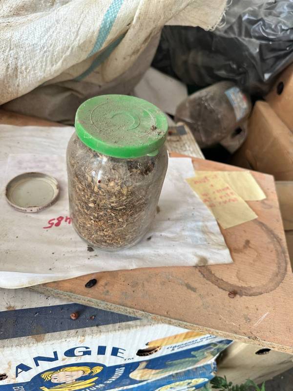 Лесная находка обернулась уголовным делом: в Феодосии изъята марихуана в крупном размере