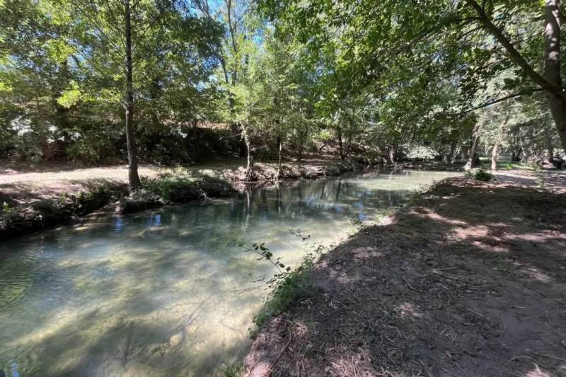 Севастопольская малина дорого обошлась местному бизнесмену