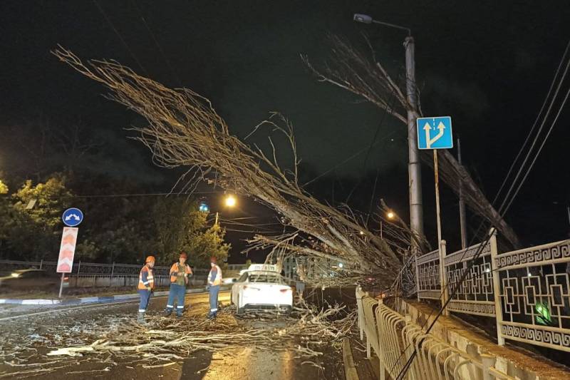 Участники форума «Истоки» даже в непогоду познакомились с «Херсонесом Таврическим»