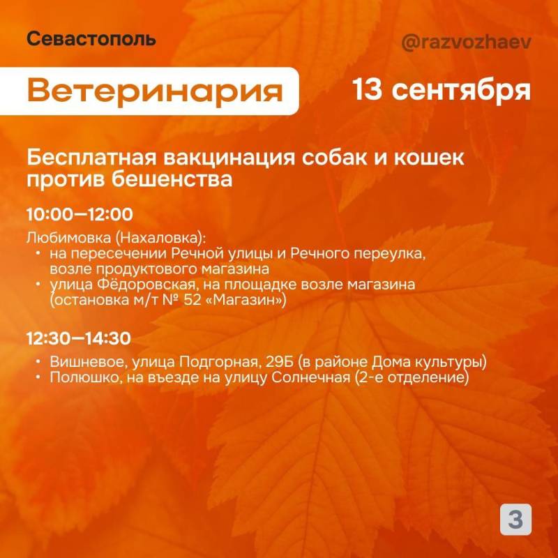 Впереди выходные: севастопольские учреждения приготовили для севастопольцев бесплатные мероприятия Впереди выходные: севастопольские учреждения приготовили для севастопольцев бесплатные мероприятия