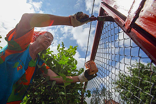 У Россиян начнут отбирать неиспользуемую землю