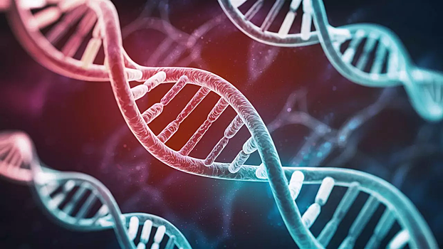 Российские ученые усовершенствовали геномный редактор