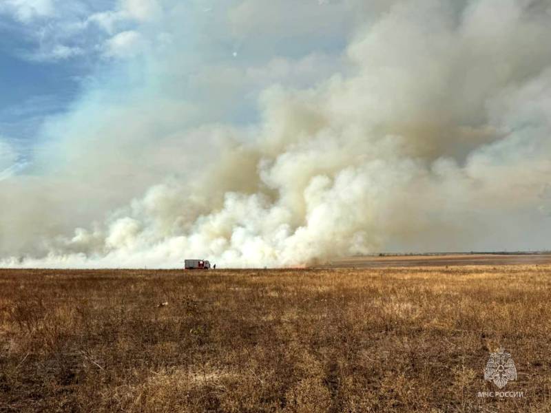 Сотрудники МЧС России ликвидируют возгорание сухой растительности