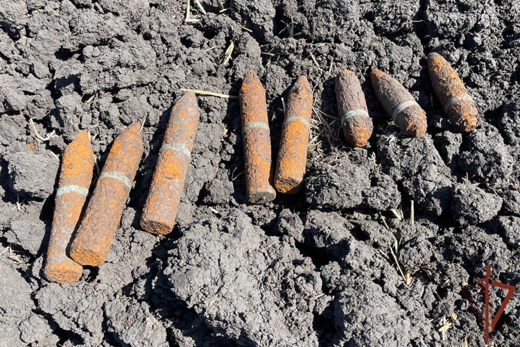 Взрывотехники Росгвардии обезвредили боеприпасы времен Великой Отечественной войны, обнаруженные в Краснодарском крае