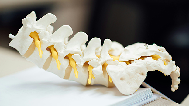 Разработано приложение, диагностирующее сколиоз с помощью смартфона