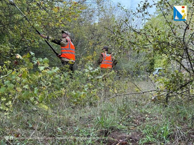 В Мекензиевском лесничестве расчистили 27 километров просек В Мекензиевском лесничестве расчистили 27 километров просек