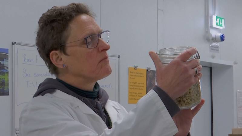 25 лет исполнилось крупнейшему в мире банку семян диких растений