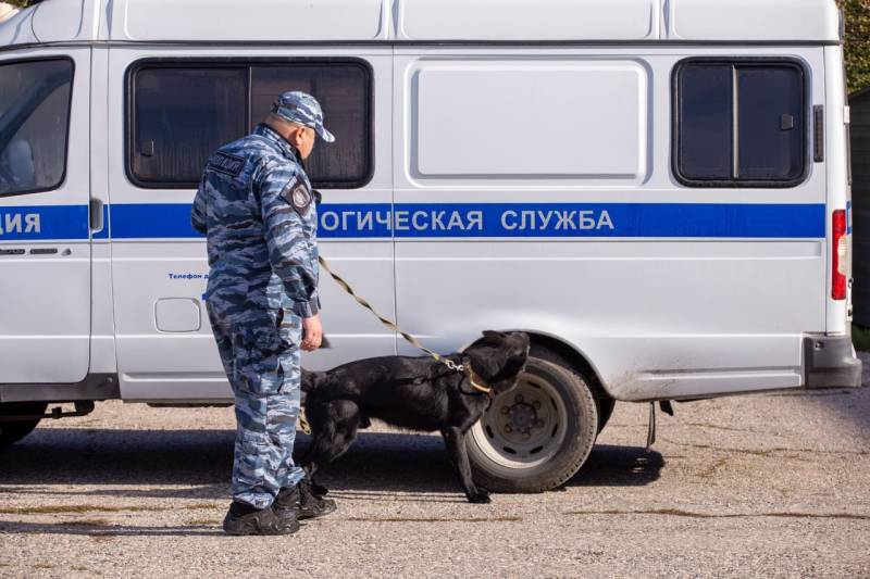 Крымские школьники открыли для себя мир кинологии