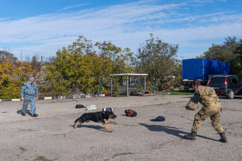 Крымские школьники открыли для себя мир кинологии