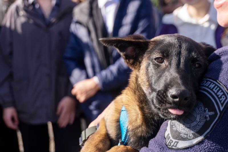 Крымские школьники открыли для себя мир кинологии