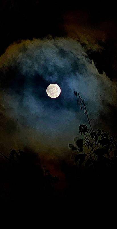 Необычно большую яркую Луну севастопольцы и жители других регионов могли наблюдать прошлой ночью и утром