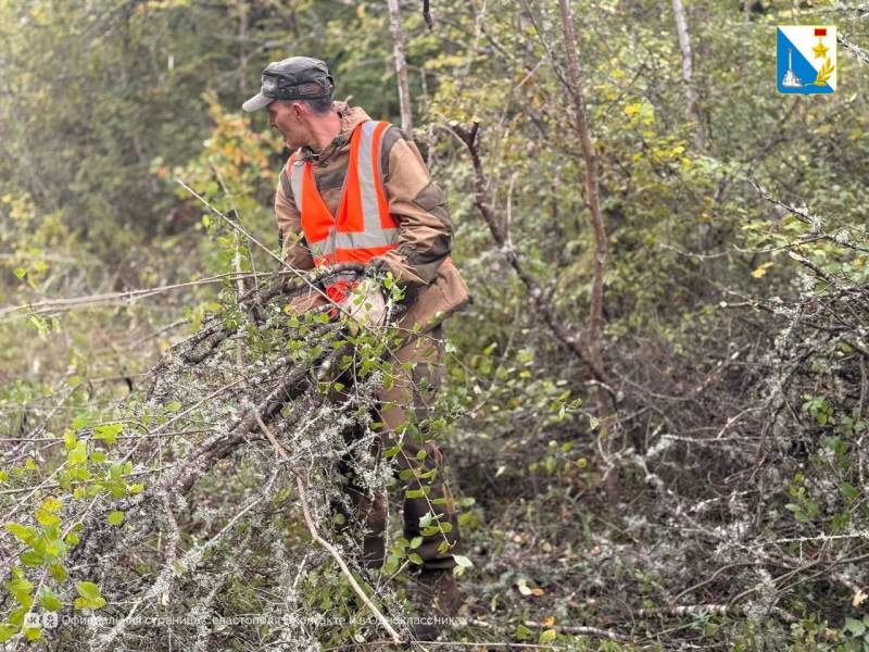 В Мекензиевском лесничестве расчистили 27 километров просек