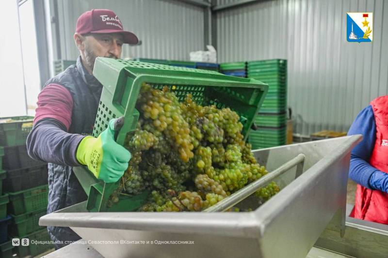 Севастополь — центр органического виноделия