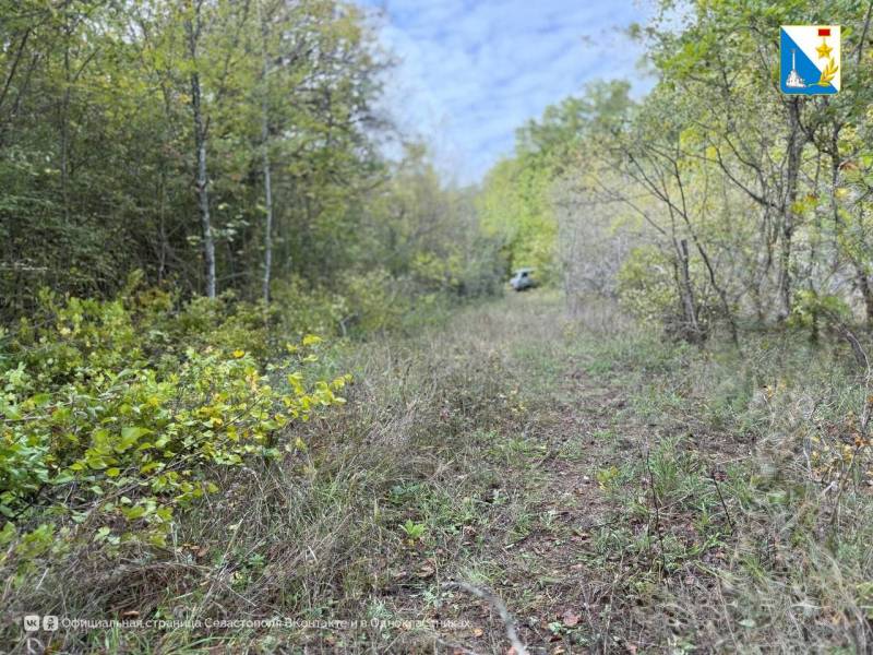 В Мекензиевском лесничестве расчистили 27 километров просек В Мекензиевском лесничестве расчистили 27 километров просек